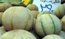 تجهیز میوه‌فروشی‌های کرمان به سیستم ارائه فاکتور / هر کیلو مرغ 5700 تومان